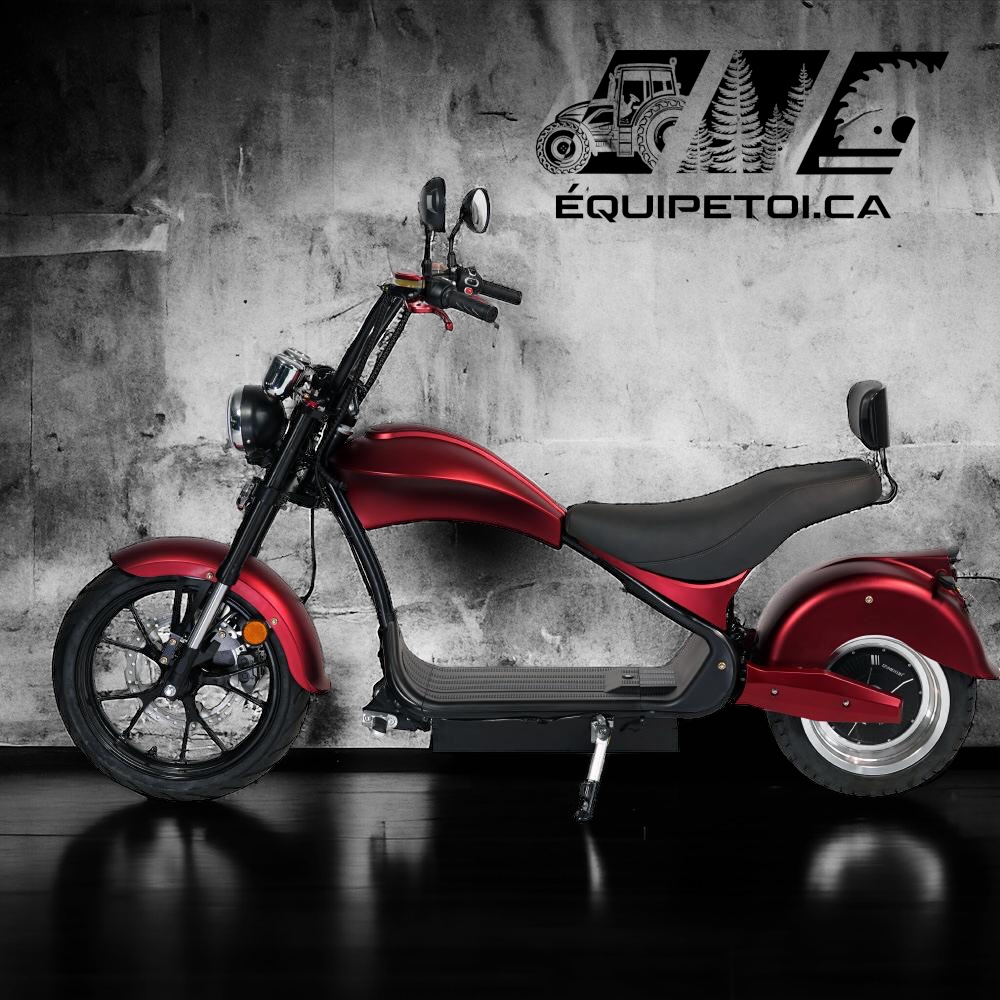 CHOPPER ÉLECTRIQUE ÉCO 4000W – Image 3