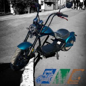 CHOPPER ÉLECTRIQUE ÉCO 3000W